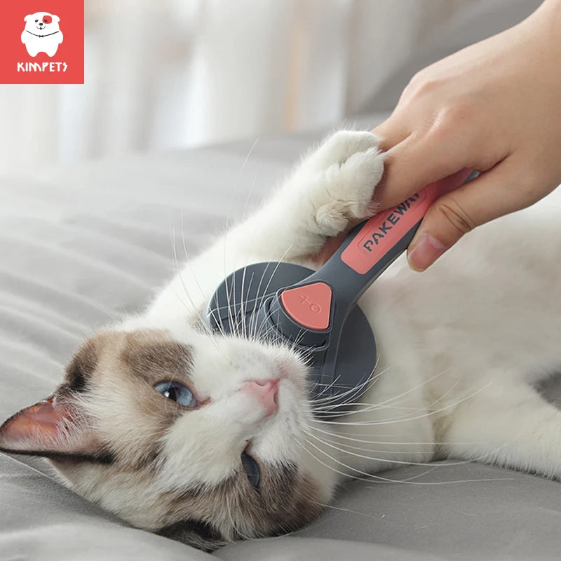 Brosse de toilettage pour animaux qui permet de démêler les poils