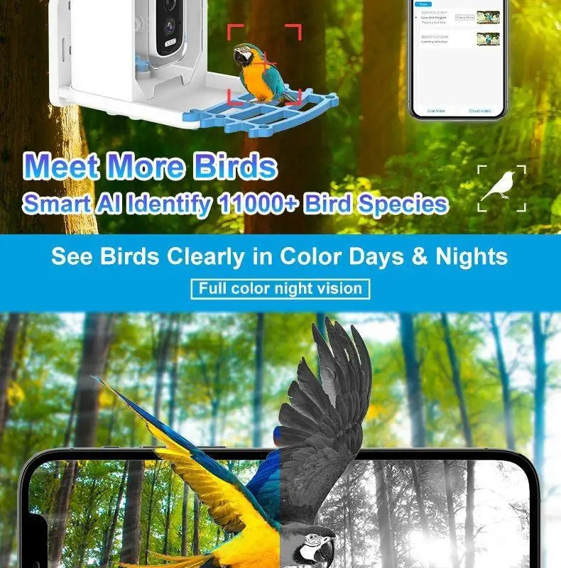 Mangeoire intelligente pour oiseaux en extérieur 1,5 L, reconnaissance AI HD 4 MP, alimentation solaire, faible consommation, longue autonomie, vision nocturne en couleur, produits pour animaux de compagnie.