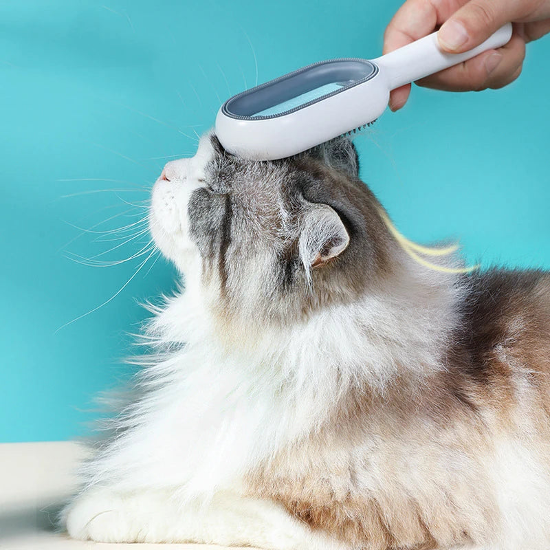 Brosses à double face pour l’élimination des poils pour chats et chiens, peigne de toilettage pour animaux avec lingettes, brosse pour chaton.