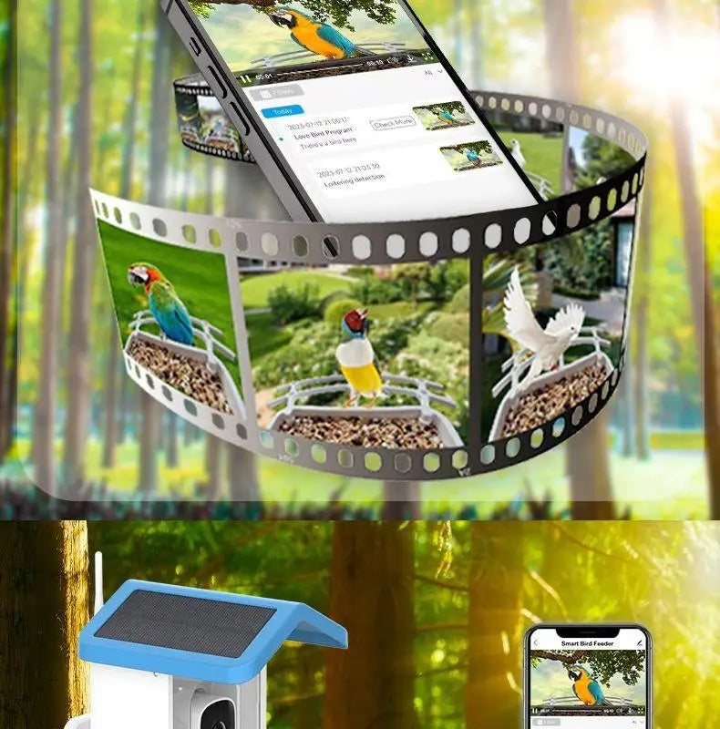 Mangeoire intelligente pour oiseaux en extérieur 1,5 L, reconnaissance AI HD 4 MP, alimentation solaire, faible consommation, longue autonomie, vision nocturne en couleur, produits pour animaux de compagnie.